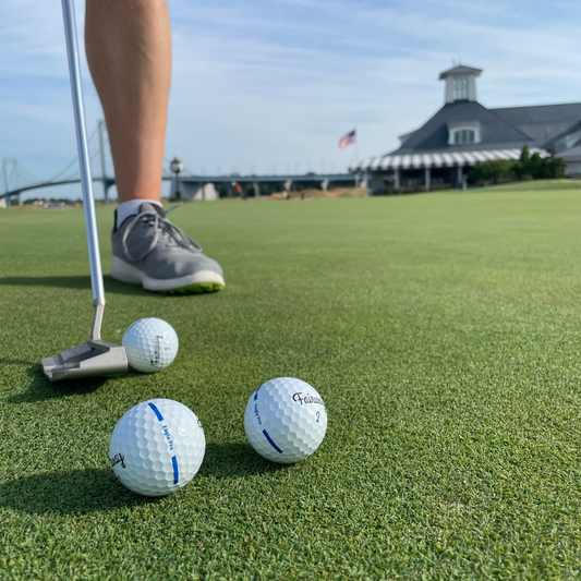 Fairway Eagle Pro vs. Titleist Pro V1